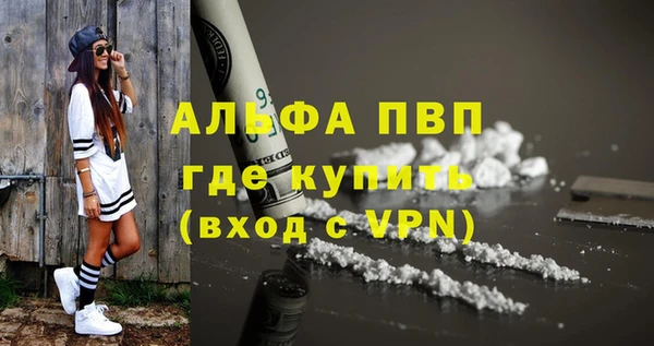 стафф Белокуриха