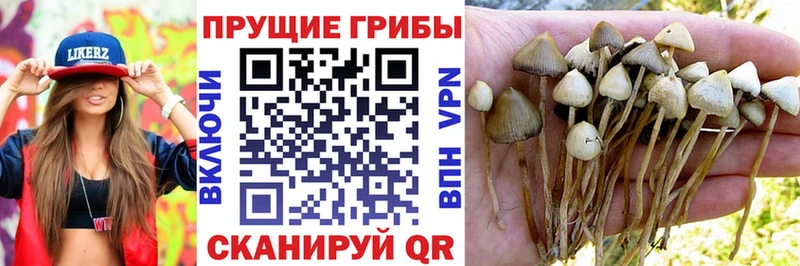 Галлюциногенные грибы мухоморы  хочу наркоту  Волгореченск 